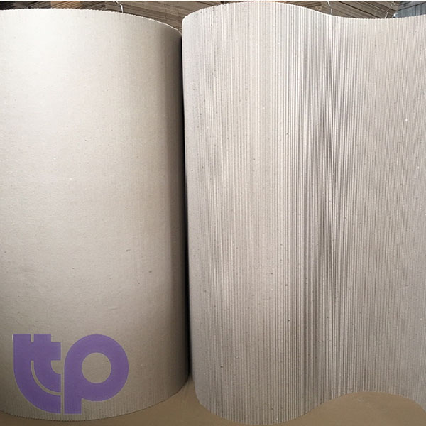 Công Ty TNHH Phát Triển TTP