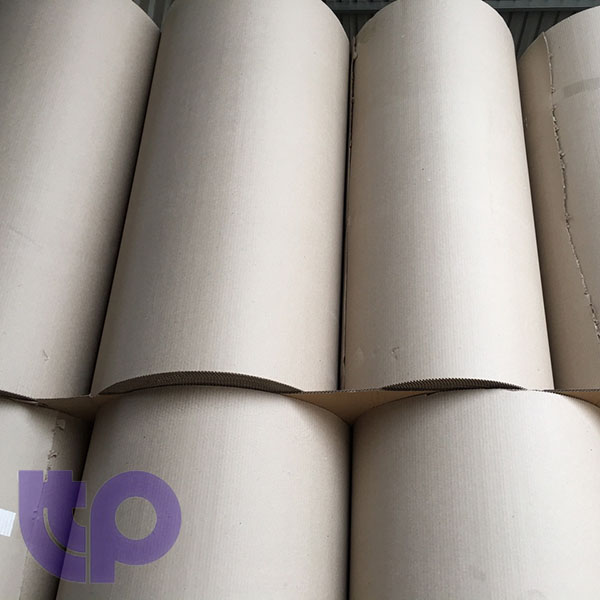Công Ty TNHH Phát Triển TTP
